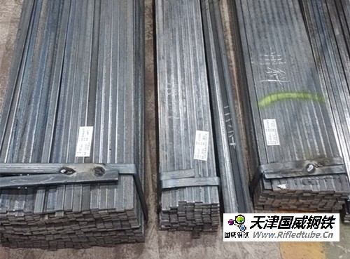 密封扁鋼\6×13×1000\15CrMo