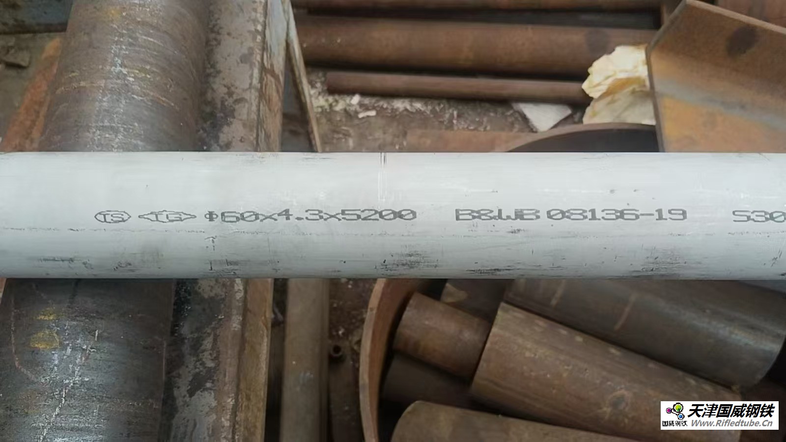 末級(jí)再熱器受熱面管子_Φ60x4.5 （內(nèi)噴丸）材質(zhì)：SA-213S30432